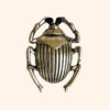 Clip Talisman or