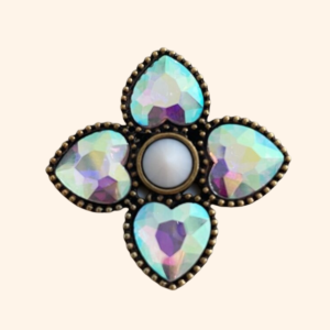 Clip Brune à MEGEVE