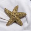 Clip Calypso gold