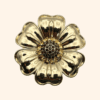 Clip Gloria Or