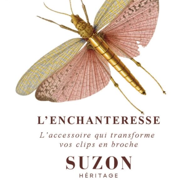 WhatsApp Image 2025-10-14 at 18.31.17 Broche magique L'Enchanteresse
