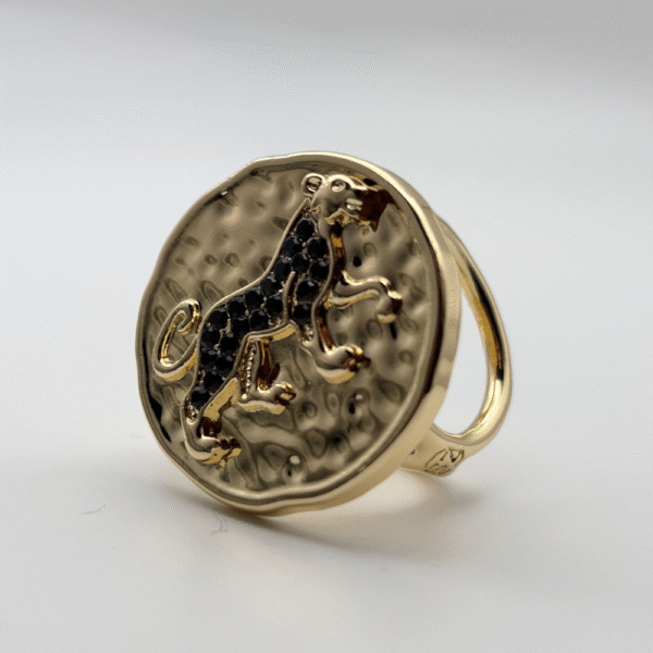 Anneau de foulard LEONCE black