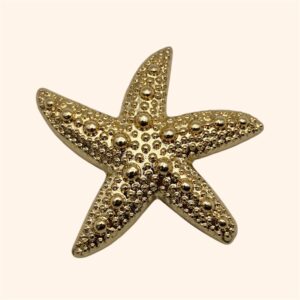 Clip Calypso Etoile de mer