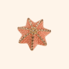 bijou_de_botuon_oursin_orange MINI BROCHE - OURSIN CORAIL