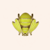 Bijou de bouton Maya flash base