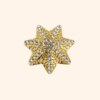 bijou_de_bouton_ete_oursin MINI BROCHE - OURSIN DORE