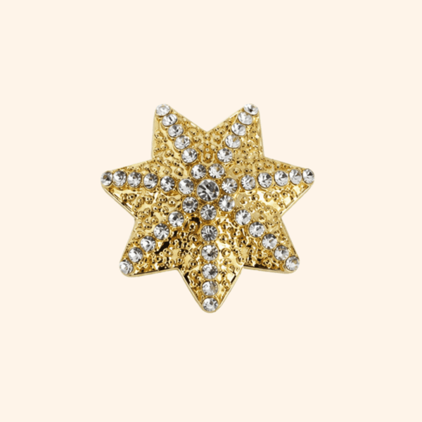 bijou_de_bouton_ete_oursin MINI BROCHE - OURSIN DORE