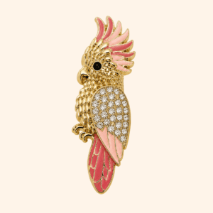 Clip Cacatoès du Pacifique Blush